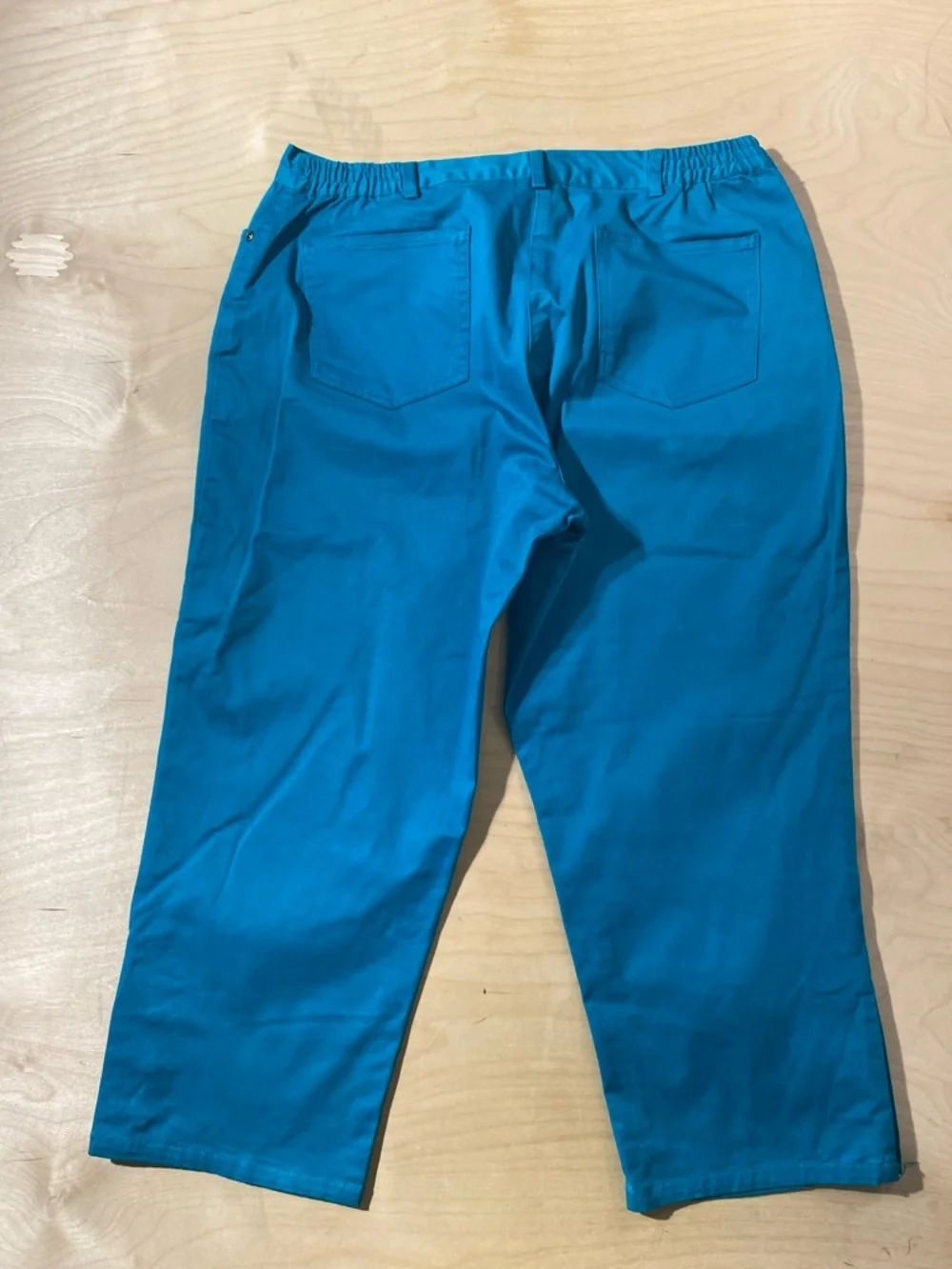 Ruby Rd. Teal Petite Pants 12P (QZ)